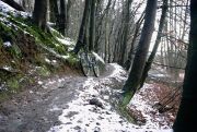 17_Traumtrail