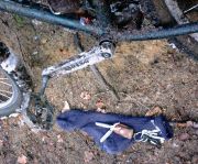 19_Tod_eines_Pedals