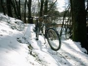26_Riesebuschtrail