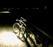 42_Mole_im_Schnee