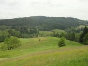 DSC02598