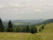 DSC02602