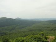 DSC02609