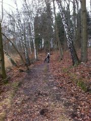 Oderberg-Eberswalde 1-13 013_001