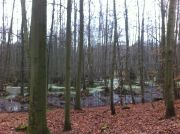 Oderberg-Eberswalde 1-13 015