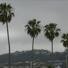 DSCN9639