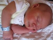 theo_280706