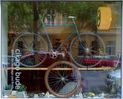 schaufenster110510