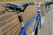 schurly05