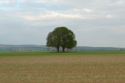 073