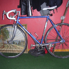 RIMG0508