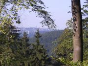 RIMG0767