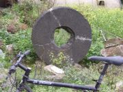 RIMG0810