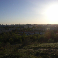 RIMG0542