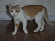 RIMG0371