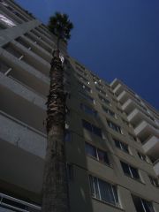 RIMG0266