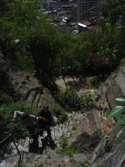 RIMG0267