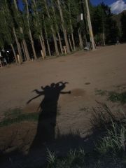 RIMG0277