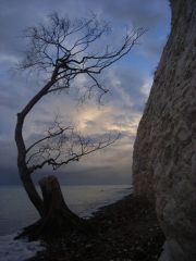 RIMG0357_001