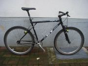 RIMG0521