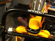 gorilla006