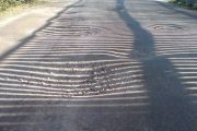 schatten