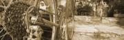 wordpress_test1