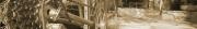 wordpress_test2
