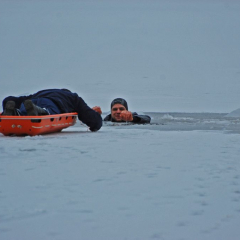 2009_01_31_0664_bearbeitet_1