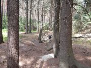 DSCN0021