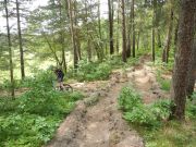 DSCN0024