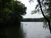 DSCN0029