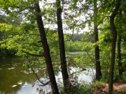 DSCN0035