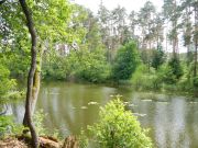 DSCN0036