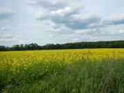 DSCN0037