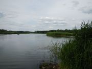 DSCN0039