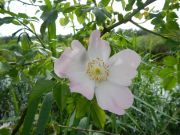 DSCN0042