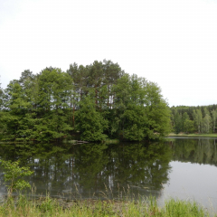 DSCN0014_001