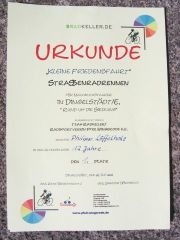 Philipp_urkunde_8211