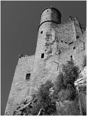 Hanstein2