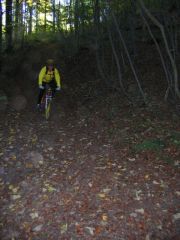 steini_0005