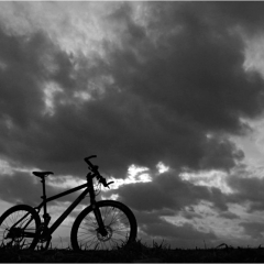 MTB_Freiheit