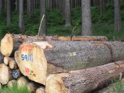 Sommerbiketour2010 016