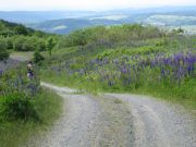 Sommerbiketour2010 028