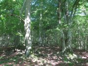 Sommerbiketour2010 064