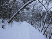 ESK-Weih-101227-100