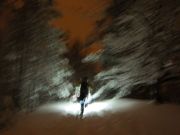 ESK-Weih-101227-122