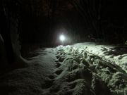 ESK-Weih-101227-123