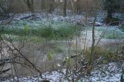 CIMG0431