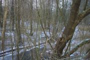 CIMG0433
